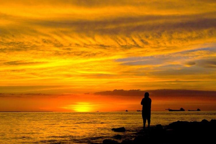 高中班级宠物小诗一共多少章?