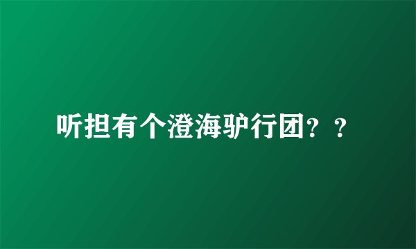 听担有个澄海驴行团？？