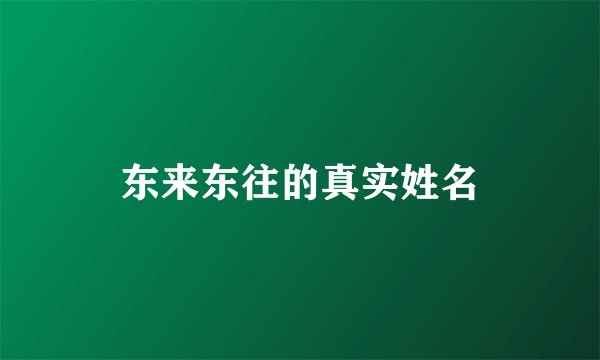 东来东往的真实姓名