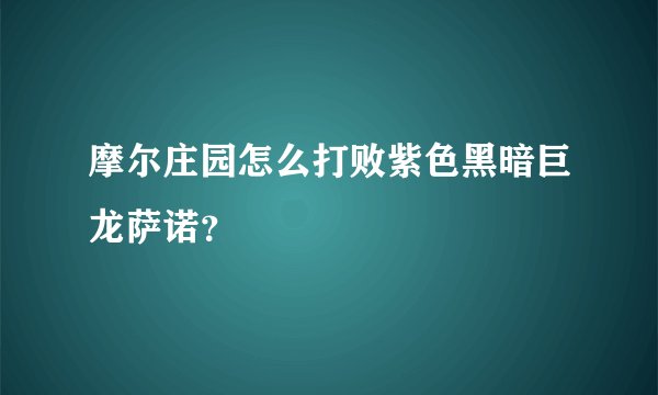 摩尔庄园怎么打败紫色黑暗巨龙萨诺？