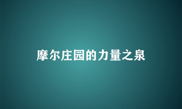 摩尔庄园的力量之泉