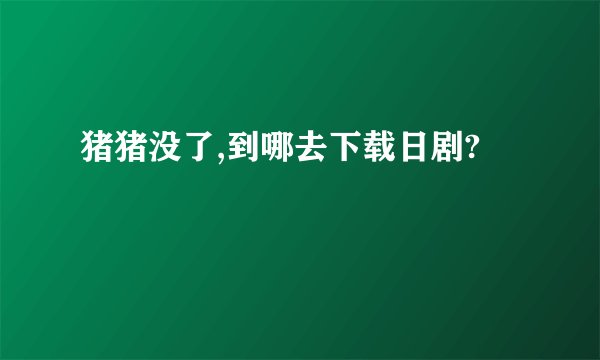 猪猪没了,到哪去下载日剧?