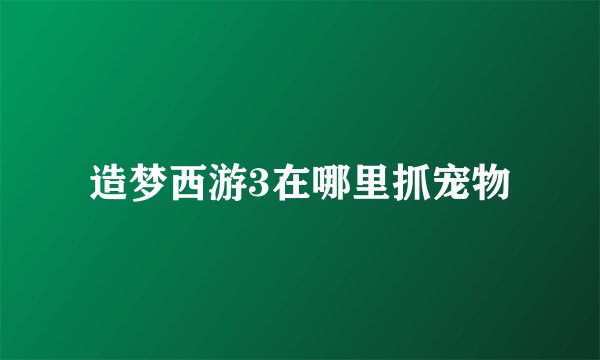 造梦西游3在哪里抓宠物