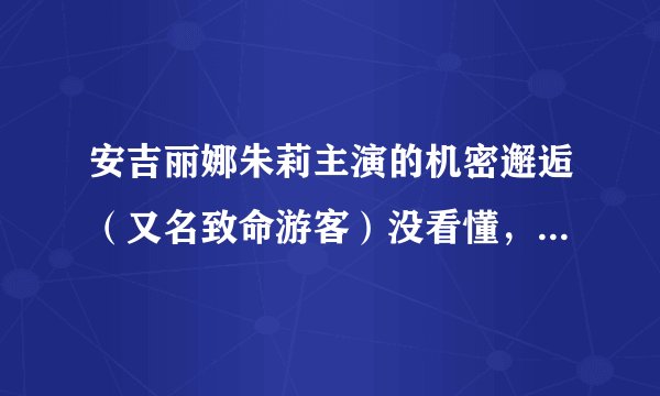 安吉丽娜朱莉主演的机密邂逅（又名致命游客）没看懂，哪里有很详细的剧情介绍？