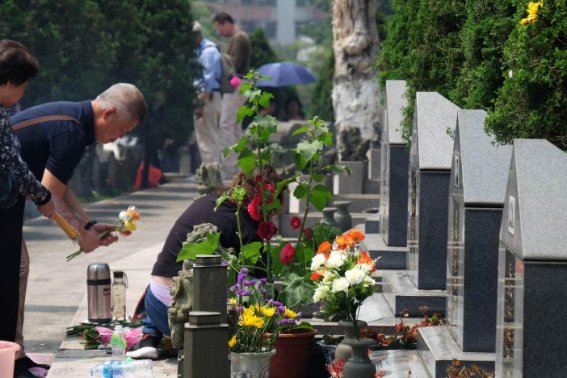 2023年新坟不过社是哪一天去扫