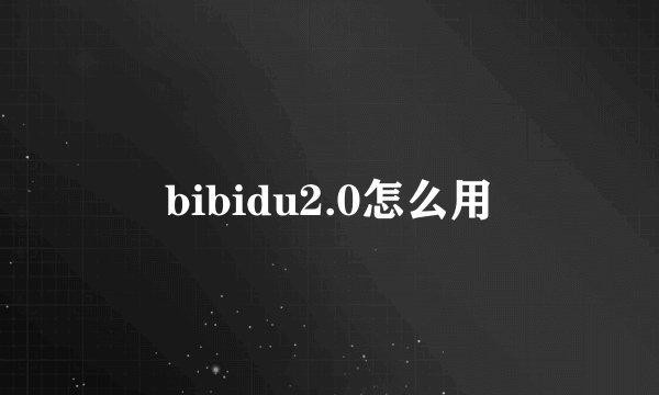 bibidu2.0怎么用