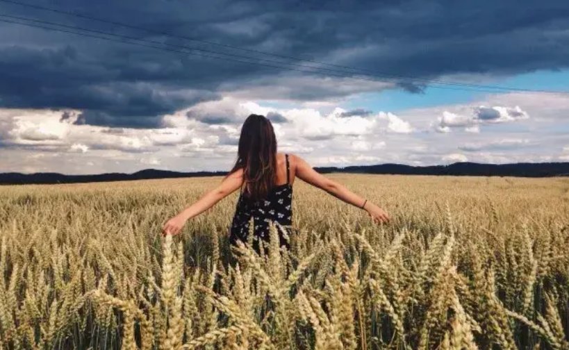 贯彻的意思是什么