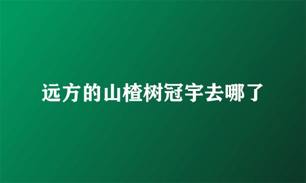 远方的山楂树冠宇去哪了