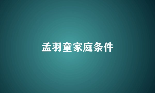 孟羽童家庭条件