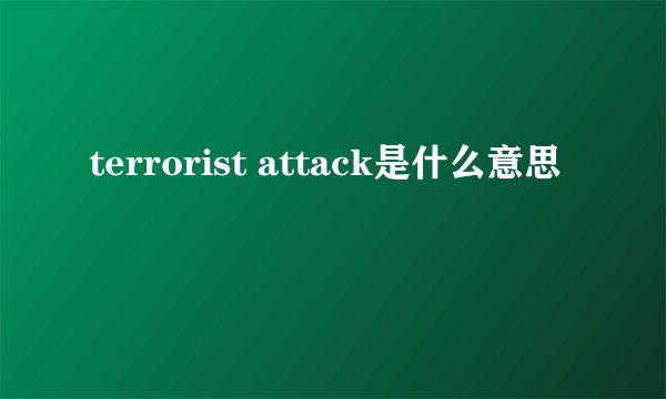 terrorist attack是什么意思