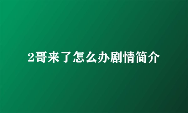 2哥来了怎么办剧情简介
