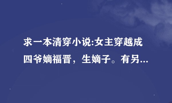 求一本清穿小说:女主穿越成四爷嫡福晋，生嫡子。有另外一个穿越女做了太子侧妃，设计杀女主孩子，女主为