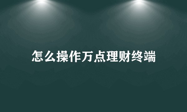 怎么操作万点理财终端