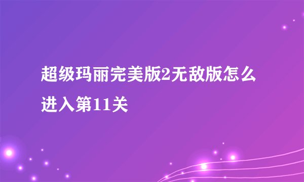 超级玛丽完美版2无敌版怎么进入第11关