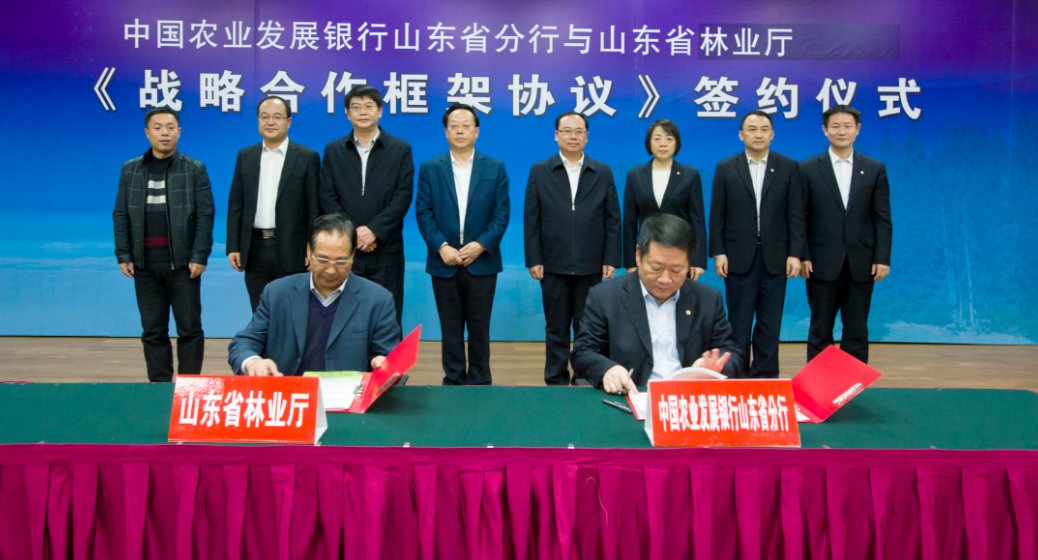 农行跟农业发展银行有什么不一样、