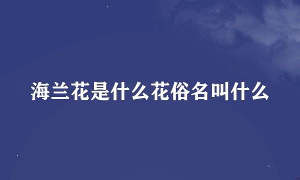 海兰花是什么花俗名叫什么