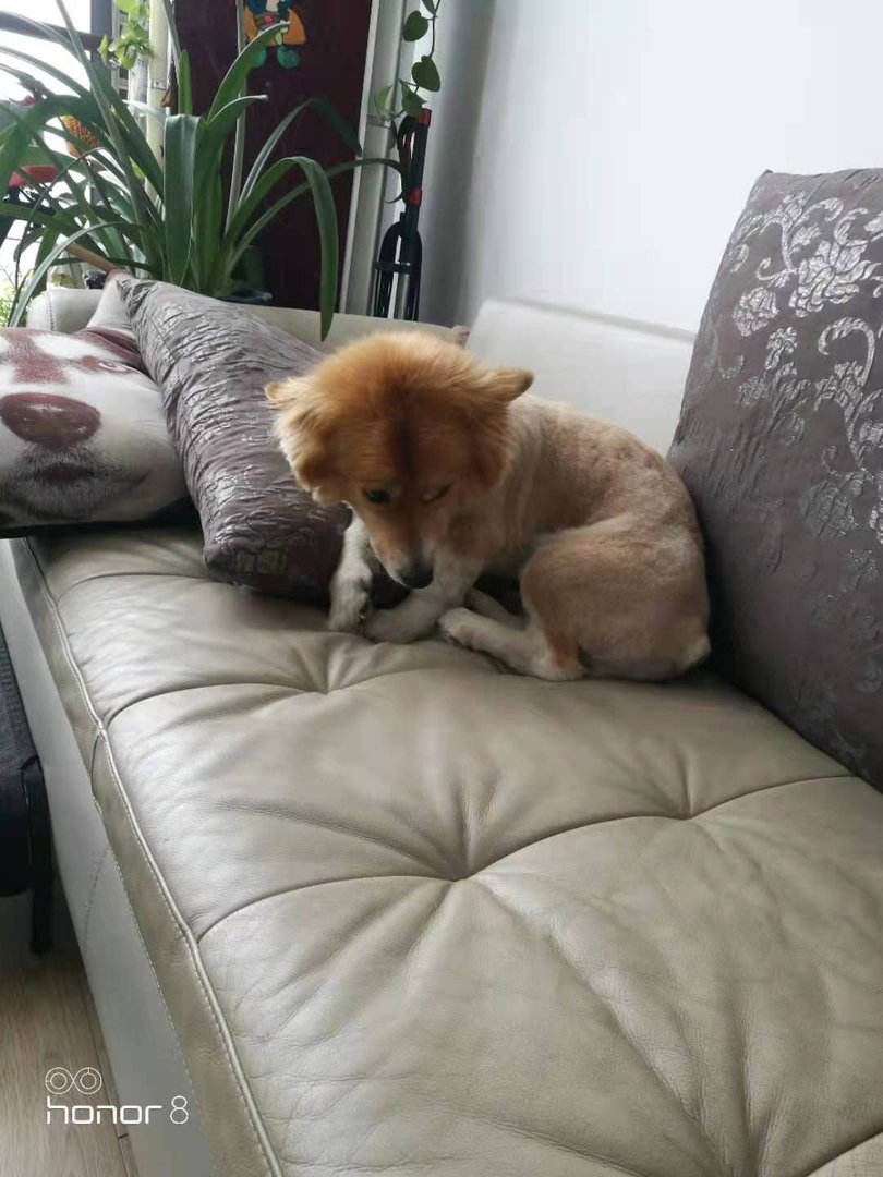 足球守门员发球直接进球是否算得分？