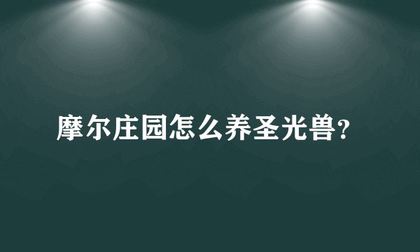 摩尔庄园怎么养圣光兽？
