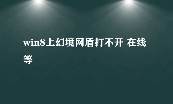 win8上幻境网盾打不开 在线等