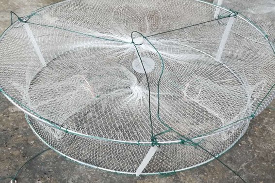 自投罗网的意思解释