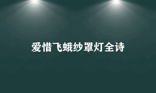 爱惜飞蛾纱罩灯全诗