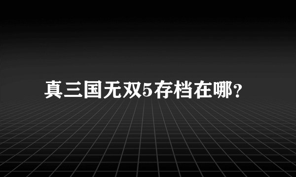 真三国无双5存档在哪？