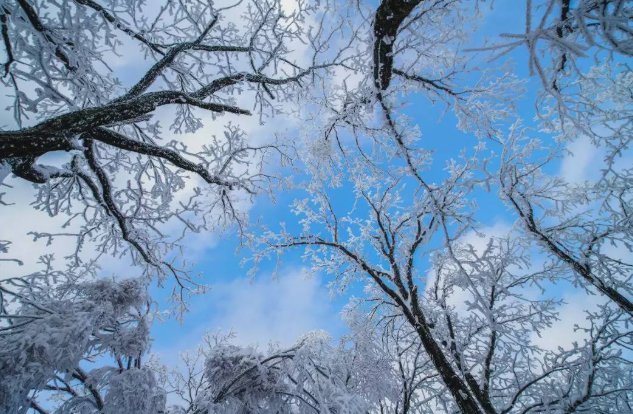 河南多景区飘起鹅毛大雪，多地景区是何景象？