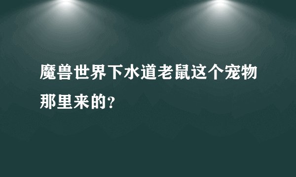 魔兽世界下水道老鼠这个宠物那里来的？