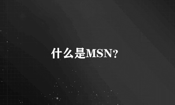 什么是MSN？