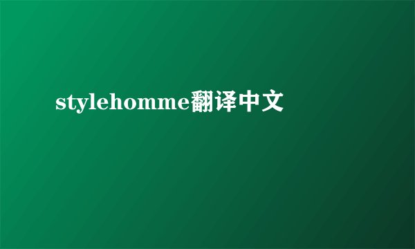 stylehomme翻译中文