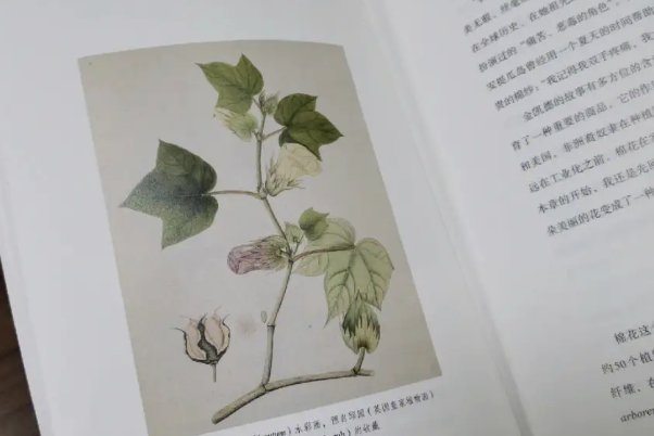 后记是什么意思