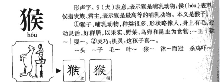 猴子的猴字怎么写