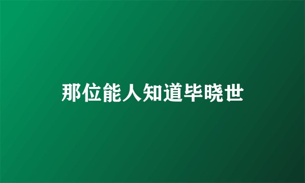 那位能人知道毕晓世