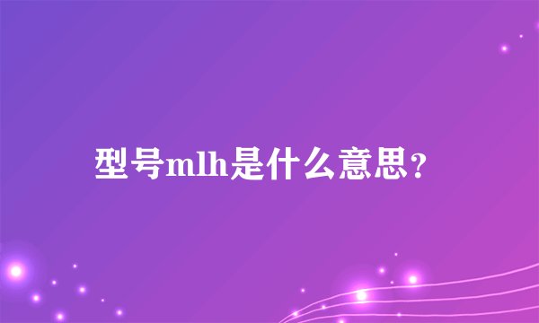 型号mlh是什么意思？