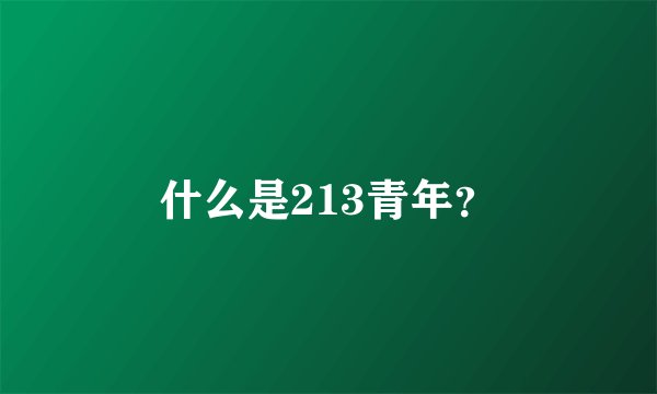 什么是213青年？