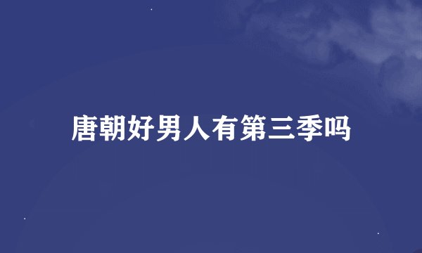 唐朝好男人有第三季吗