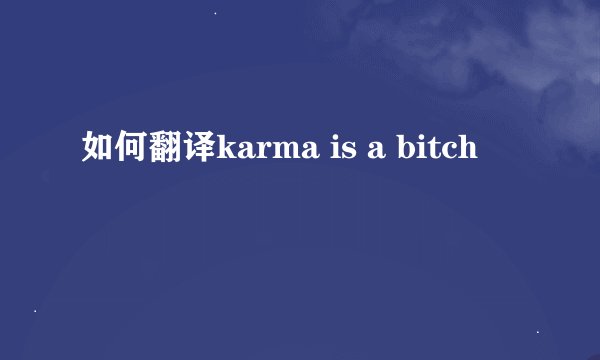 如何翻译karma is a bitch