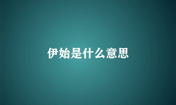 伊始是什么意思