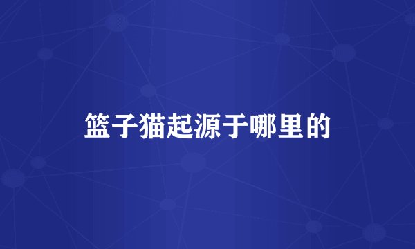 篮子猫起源于哪里的