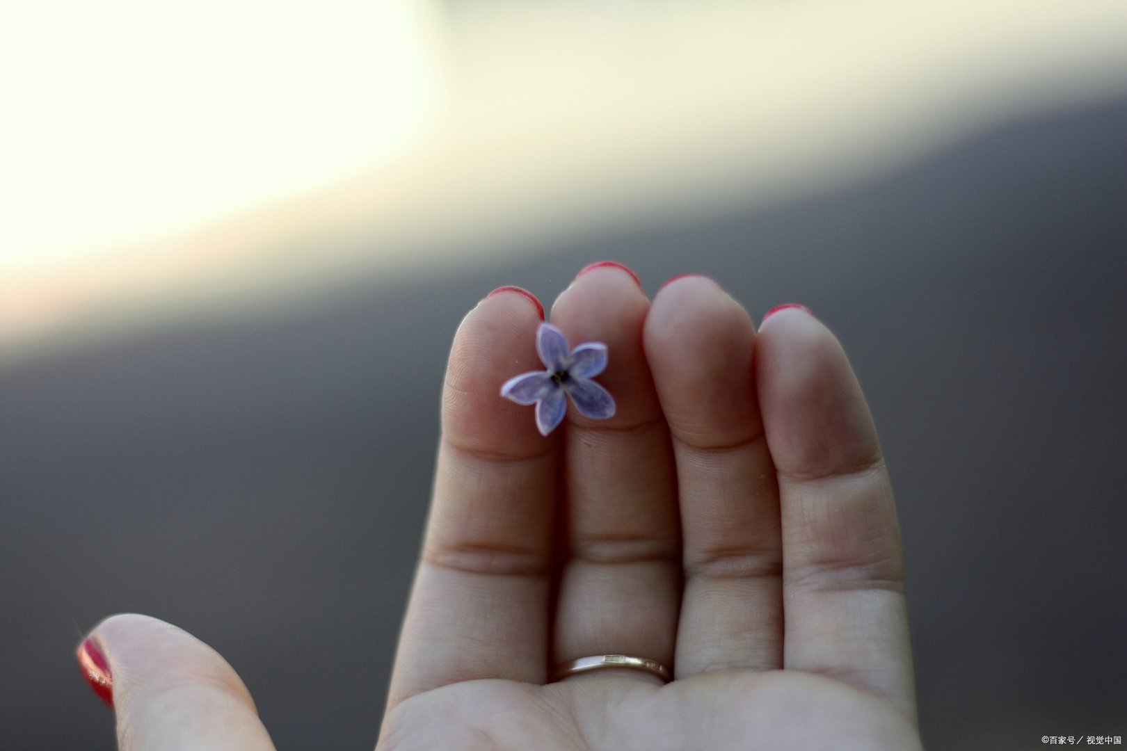 四川省百姓投诉热线