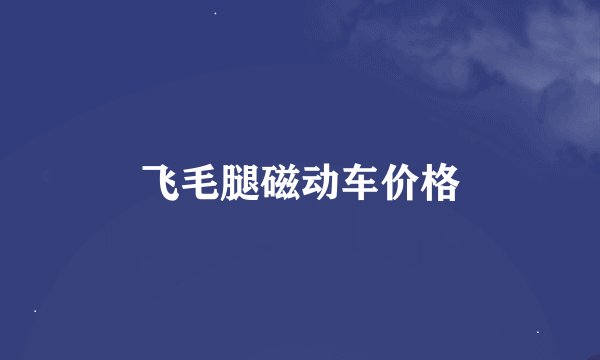 飞毛腿磁动车价格