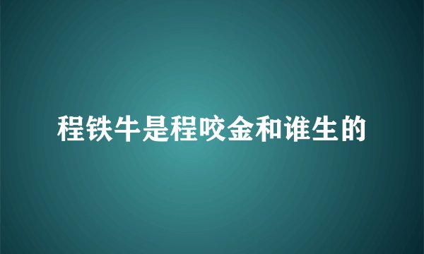 程铁牛是程咬金和谁生的