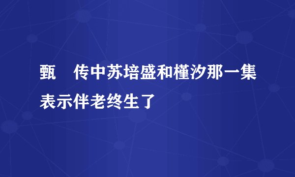 甄嬛传中苏培盛和槿汐那一集表示伴老终生了