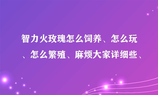 智力火玫瑰怎么饲养、怎么玩、怎么繁殖、麻烦大家详细些、
