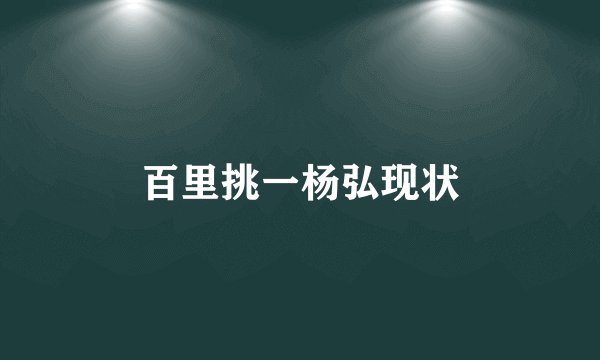 百里挑一杨弘现状