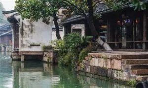 乌镇景区停止游客进入，这是为什么？