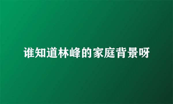 谁知道林峰的家庭背景呀