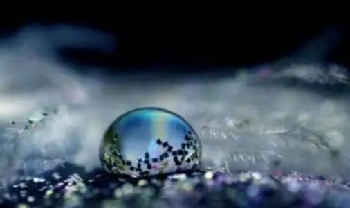 看到你那里滴水的句子文章