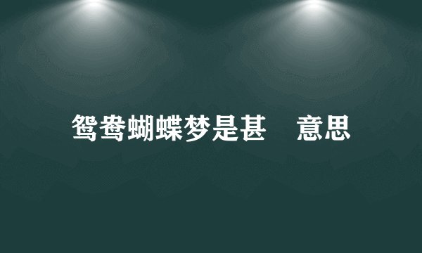 鸳鸯蝴蝶梦是甚麼意思
