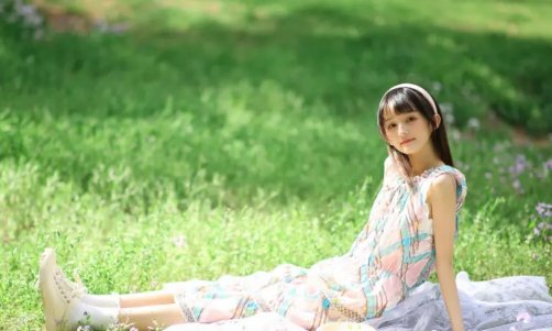 苏家有女的大结局是什么？